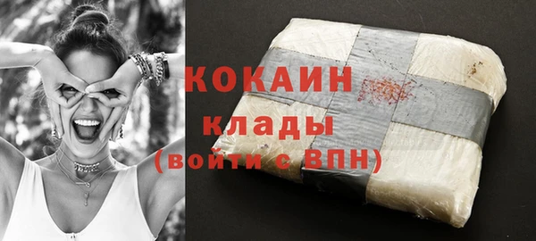 гашик Надым