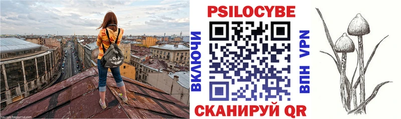 Псилоцибиновые грибы ЛСД  Купить закладки  Казань 